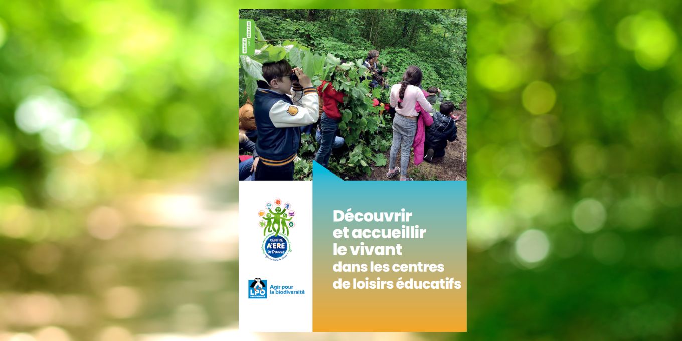 Nouveauté 2026 : un guide pour découvrir et accueillir le vivant dans les centres de loisirs éducatifs